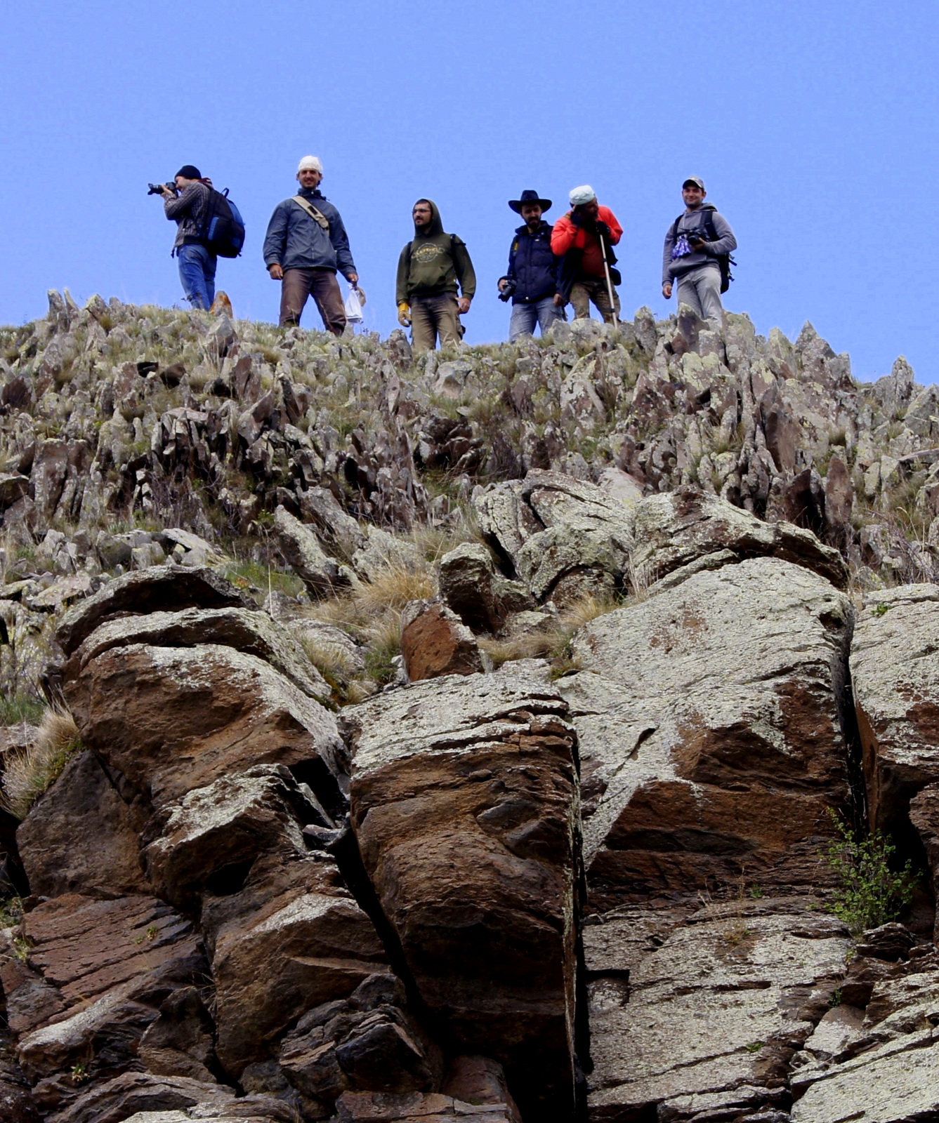 Turkish Swiss Team in Eastern Darevsky's Viper habitat, ne. Turkiye
